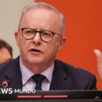Cómo Australia lidera la cruzada contra las grandes tecnológicas