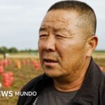 Cómo China está transformando una zona rural donde se cultivan papas en el centro de su competencia tecnológica con EE.UU.