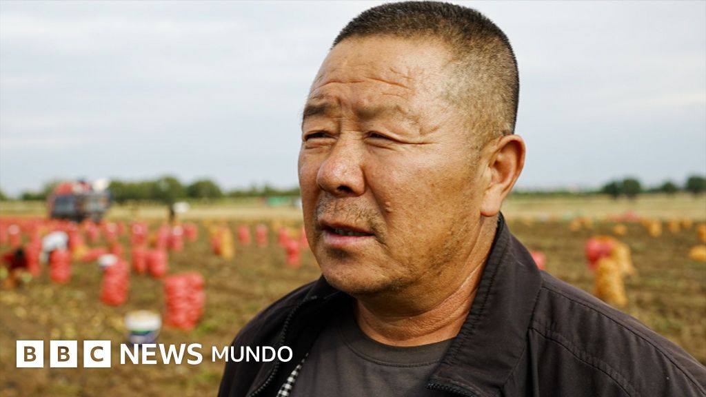 Cómo China está transformando una zona rural donde se cultivan papas en el centro de su competencia tecnológica con EE.UU.