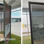 Las jaulas en las que eran encerrados los migrantes en el "Alcatraz de los caimanes" de Florida