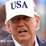 Por qué Trump apuesta todo por la IA y considera "un engaño" las advertencias sobre sus peligros