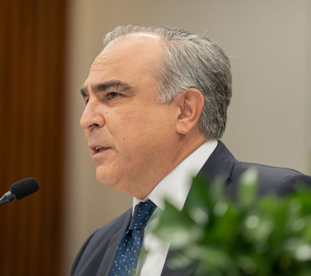 Celso Marranzini pide aumento de patrullaje policial para frenar el “raterismo”