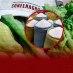 Confenagro pide mantener protegido el arroz dominicano frente a las importaciones