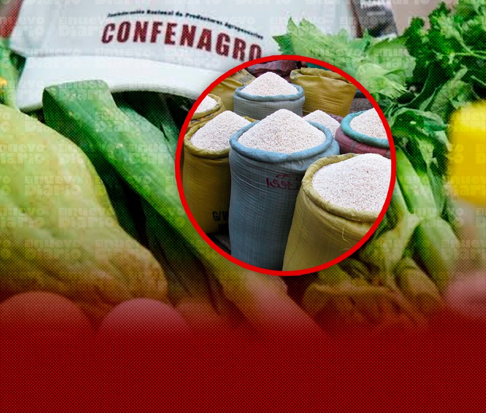 Confenagro pide mantener protegido el arroz dominicano frente a las importaciones