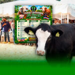 Culmina con éxito la 18.ª Feria Ganadera y Ecoturística El Cupey 2026 en Puerto Plata