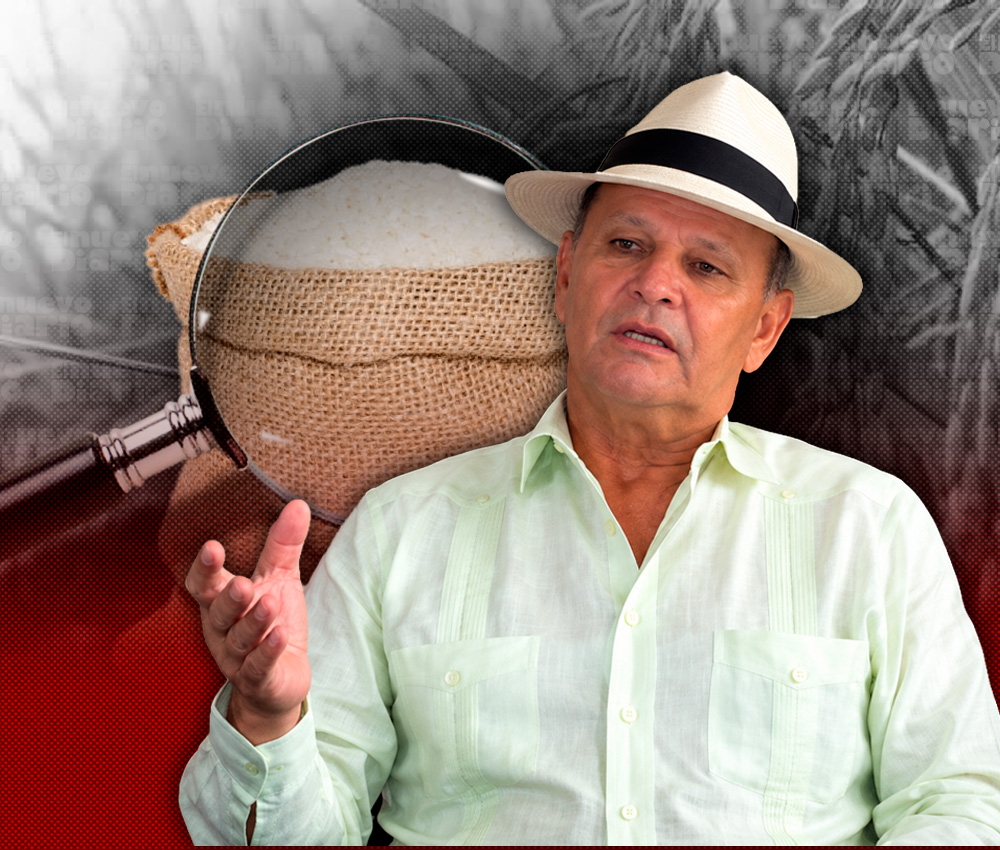 Exsenador Félix Vásquez pide proteger producción de arroz en RD para preservar la seguridad alimentaria