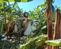 Piloto resulta herido tras avioneta precipitarse luego de impactar con un dron en finca de Montecristi