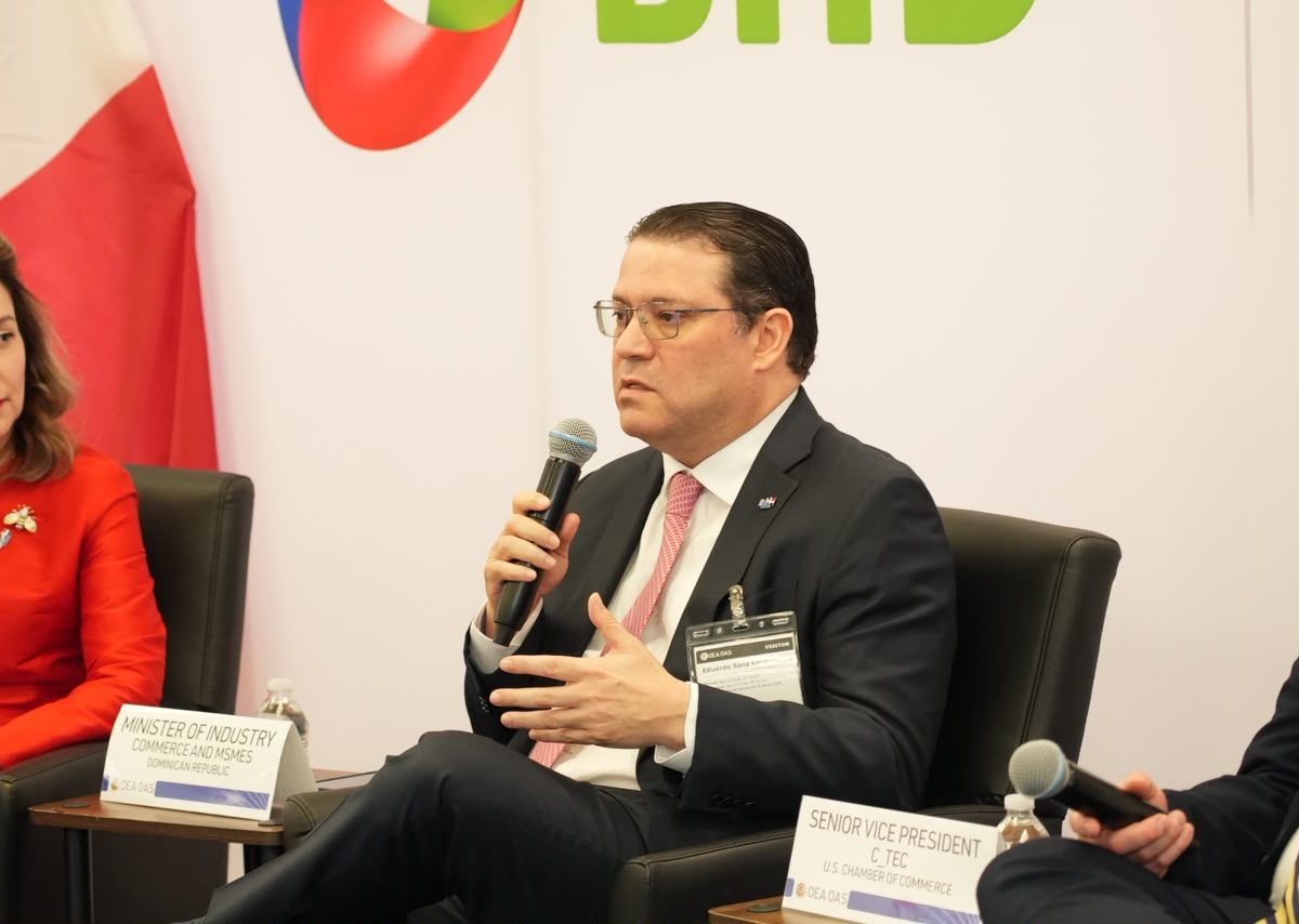 Yayo Sanz Lovatón destaca ante la OEA potencial de la IA para impulsar mipymes