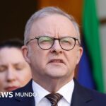 Australia denuncia el primer hackeo conocido de un agente de IA a una web gubernamental
