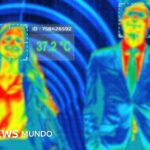 Por qué tenemos sangre caliente y qué ventajas tiene sobre la sangre fría