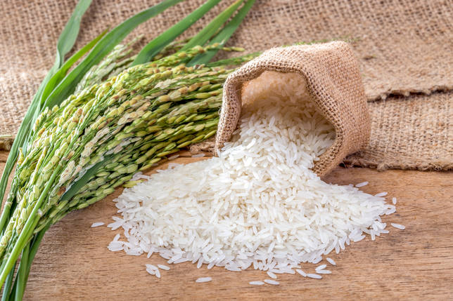 Onpeco advierte que proteger el arroz dominicano es una decisión estratégica de seguridad alimentaria