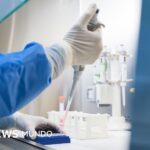 Qué es y cómo se propaga la peste neumónica que se estudia en el laboratorio de Siberia en el que falleció una trabajadora