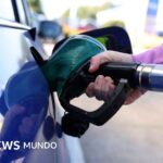"EE.UU. no debería darle a Rusia un salvavidas financiero mientras mata civiles en Ucrania": las críticas contra Trump por su plan de importar diésel ruso