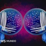 Qué es el misterio de las asimetrías de la naturaleza por el que dos investigadores ganaron el Nobel de Química