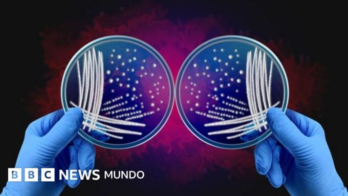 Qué es el misterio de las asimetrías de la naturaleza por el que dos investigadores ganaron el Nobel de Química