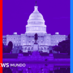 6 preguntas para entender qué se elige en las elecciones de medio mandato en EE.UU. y qué significan para Trump