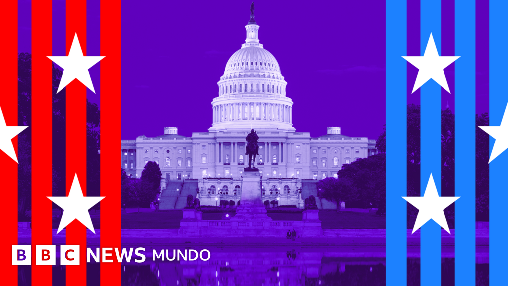 6 preguntas para entender qué se elige en las elecciones de medio mandato en EE.UU. y qué significan para Trump