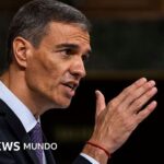 Pedro Sánchez convoca elecciones anticipadas tras el fracaso en el Congreso de sus decretos para enfrentar la crisis de la vivienda en España