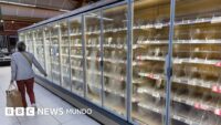Un ciberataque contra neveras y congeladores de cientos de supermercados de Francia provoca pérdidas millonarias