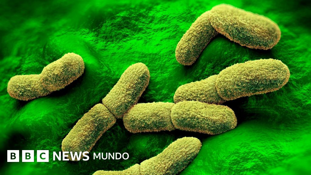 EE.UU. "sigue de cerca" el caso de una científica rusa que falleció en un centro de investigación de la peste en Siberia