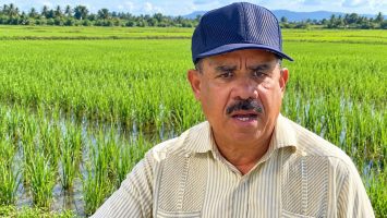 Sánchez Roa pide plan de competitividad para sector arrocero tras derogación del Decreto 693-24