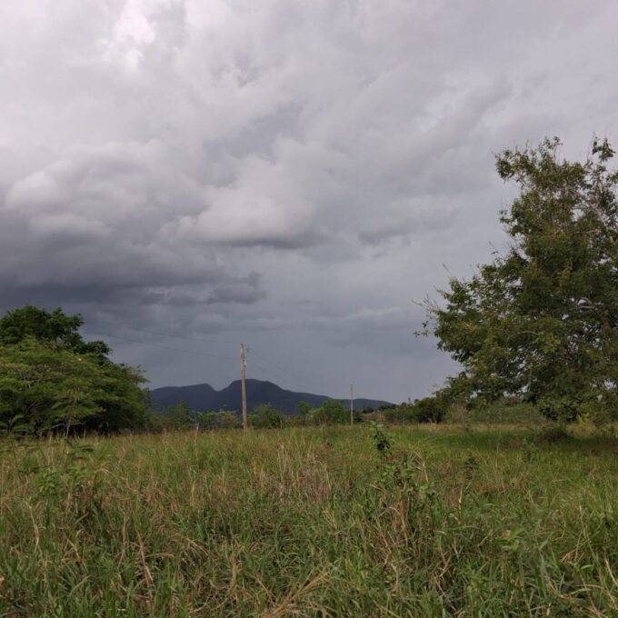 Aguaceros rompen larga sequía que mantenía secos los pastizales para el ganado en Puerto Plata