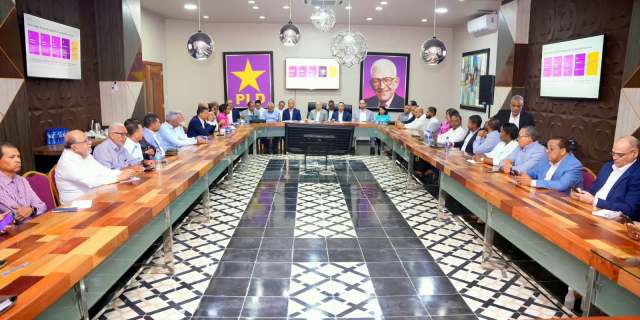 PLD amplía comisión para avanzar en su estructura organizativa y electoral