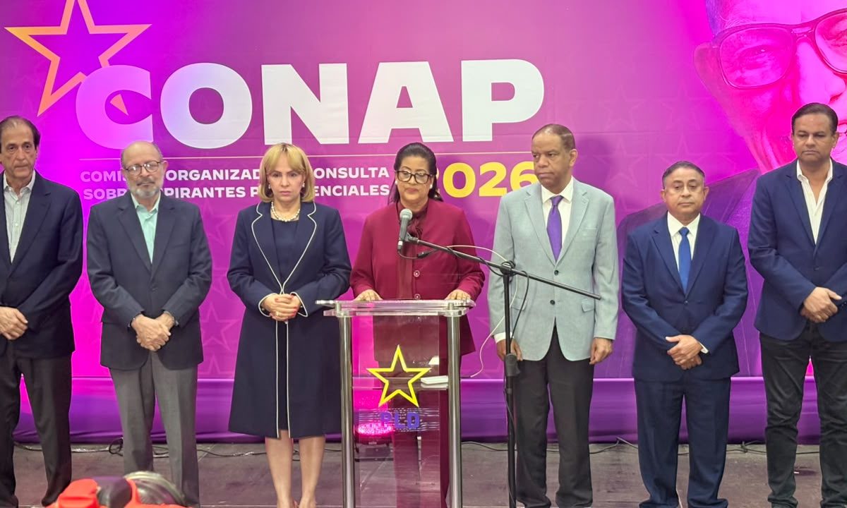 PLD suspende Consulta Ciudadana sobre aspirantes presidenciales prevista para octubre