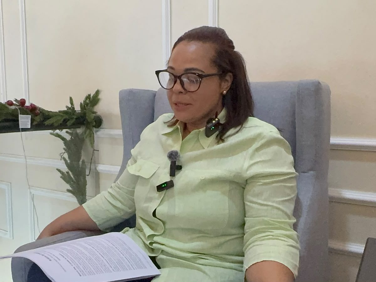 Yaniris Peña cuestiona propuestas para garantizar inclusión económica de comerciantes de Dajabón