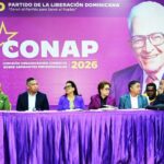 PLD llama su militancia a mantener disciplina y serenidad tras suspensión de consulta