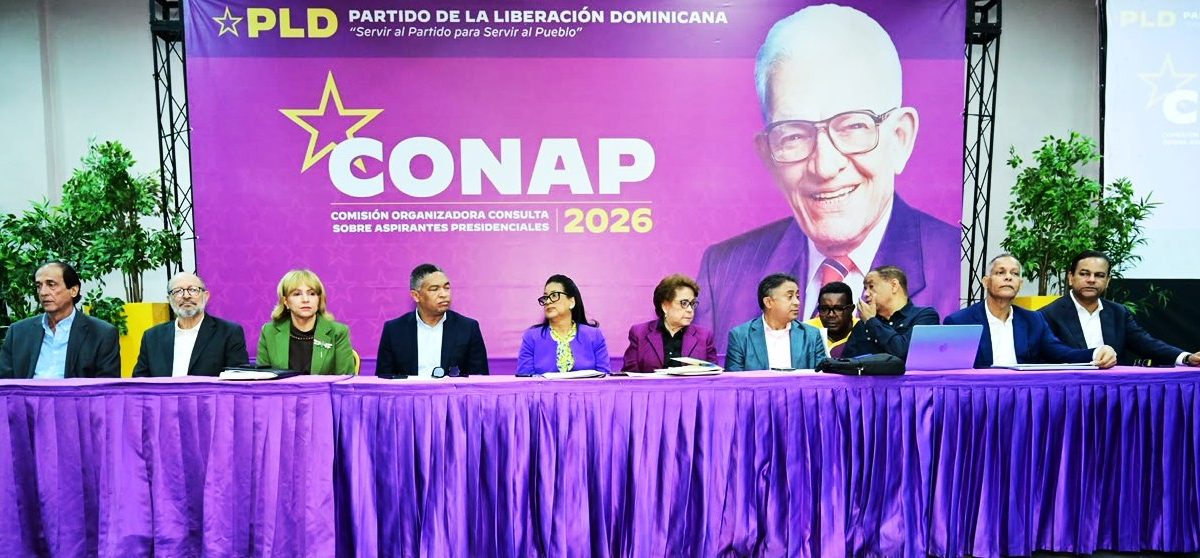 PLD llama su militancia a mantener disciplina y serenidad tras suspensión de consulta