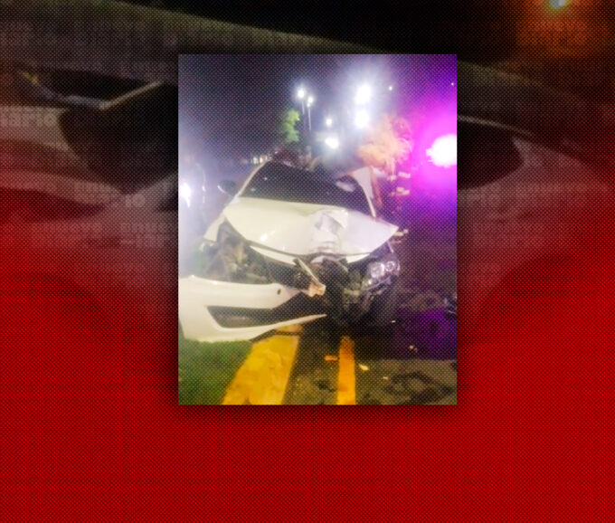 Vehículo arranca de raíz una palma tras accidente en La Vega