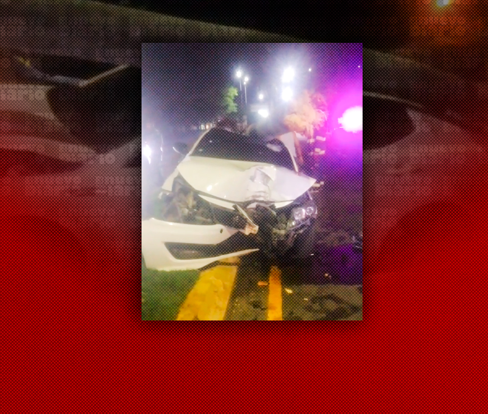 Vehículo arranca de raíz una palma tras accidente en La Vega