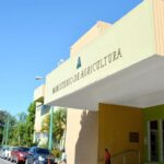 Agricultura incauta 66 toneladas de insecticidas en muelle de Haina
