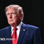 Trump anuncia un acuerdo con Putin para que Rusia libere miles de toneladas de diésel al mercado mundial