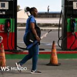 Por qué las exportaciones de EE.UU. a Cuba alcanzaron un récord mientras Trump ejerce máxima presión sobre la isla
