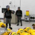 Qué fue el experimento Stanford y por qué causa polémica que Netflix haga un "reality" carcelario basado en él