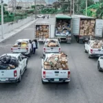 Infadomi valora decomiso de medicamentos ilegales