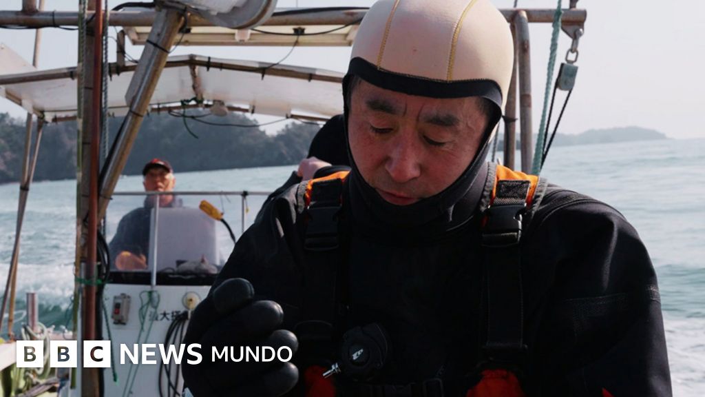 Su esposa fue arrastrada por un tsunami y él lleva años buceando para sentirse cerca de ella