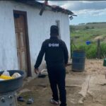 Migración detecta cerca de 700 extranjeros en condición irregular en zonas agrícolas